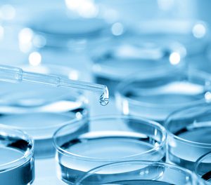 Cell Culture Plate in bio laboratory Pipette adding fluid to one of several test tubes